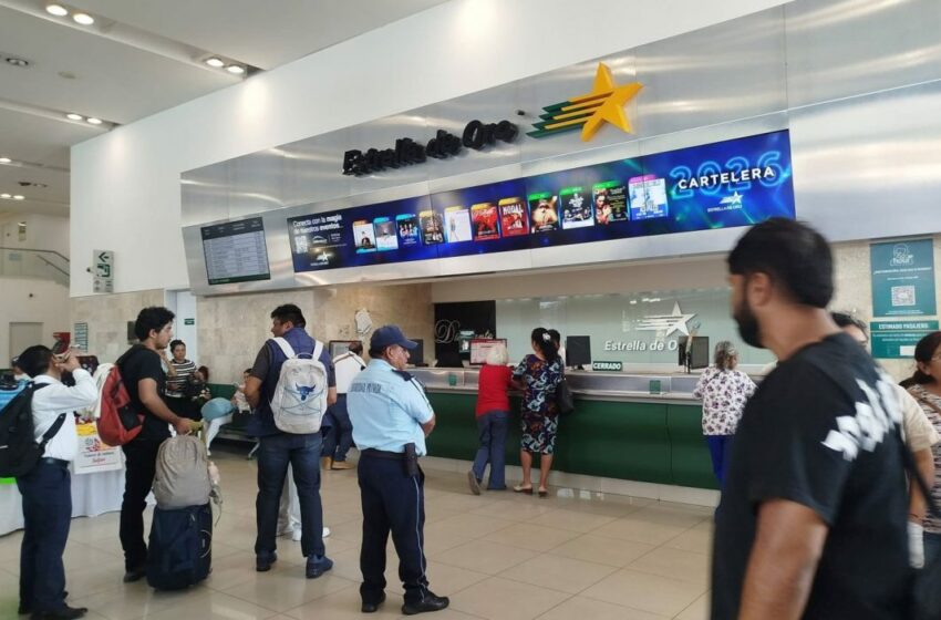  Suspenden servicio en Estrella de Oro y Estrella Blanca en Guerrero – Quadratín SLP