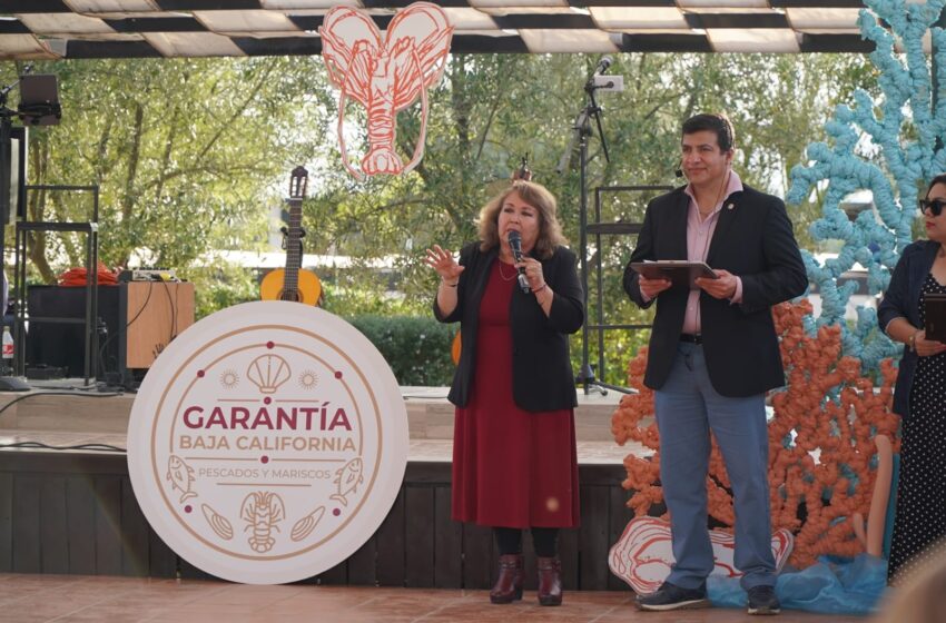  Presentó SEPESCA el recetario "Cocina la Baja 2026" – El Portavoz