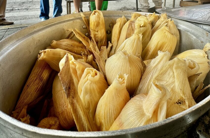  Dan de alta a niña, la última de siete menores intoxicados por tamales con fentanilo … – La Jornada