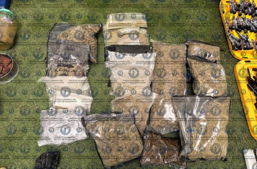  Desmantelan 'narcolaboratorio' e incautan mariguana y cristal en León, Guanajuato