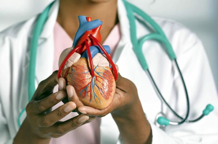  Alimentos ultraprocesados y riesgo cardiovascular al 47% – La Verdad Noticias