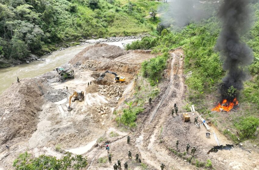  ¿Cuántas hectáreas de bosque han perdido los territorios indígenas en la Amazonía ecuatoriana?