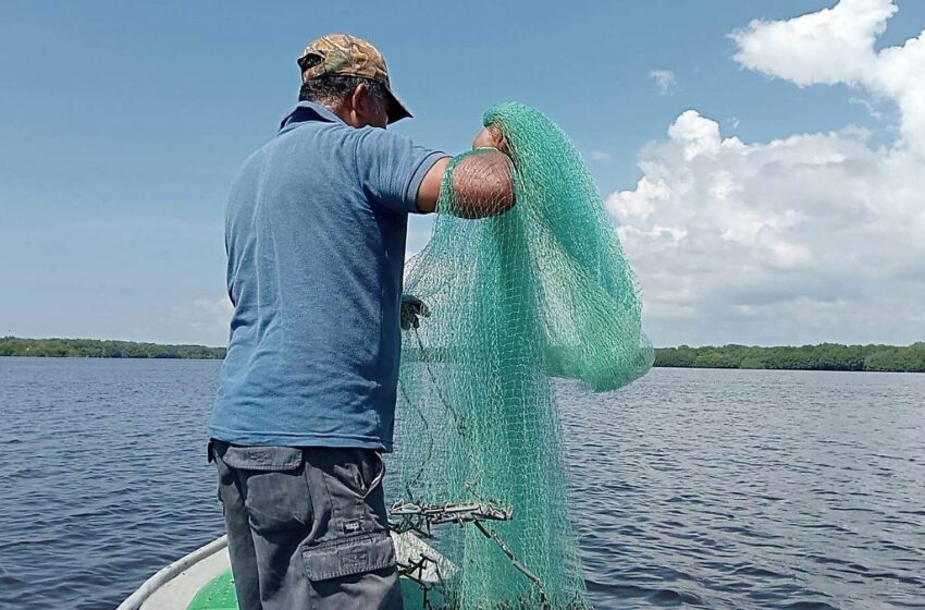  Artes de pesca indebidas ponen en riesgo a especies marinas en la Costa de Chiapas