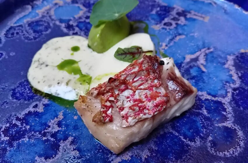  TESTAL presenta “Cocina de Mar" – Capital CDMX