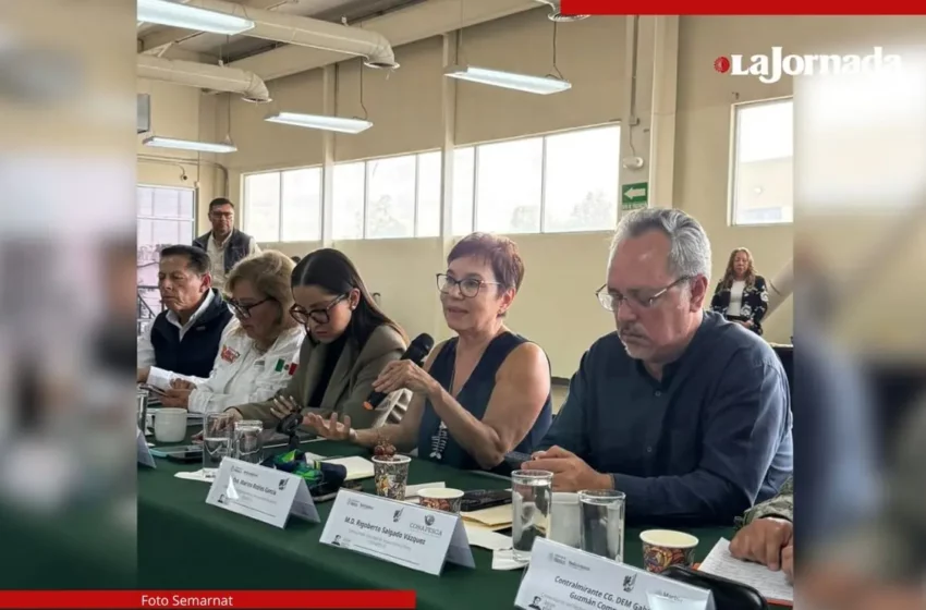  Gobierno y pescadores se unen para proteger a la vaquita marina – El Congresista