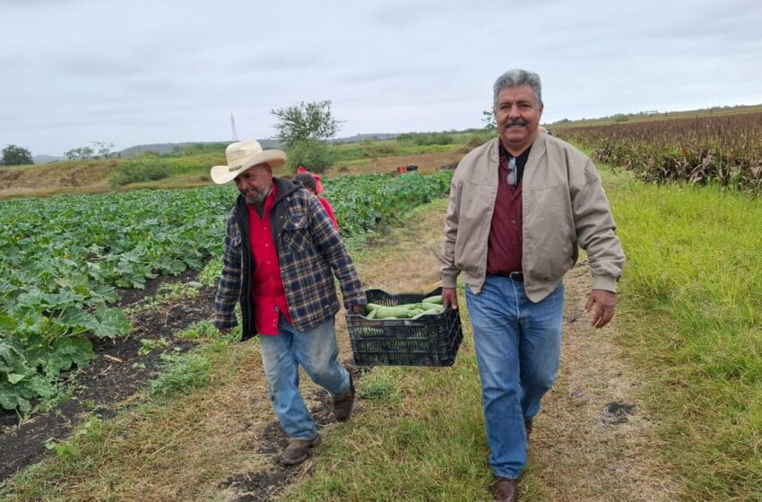  Envejecimiento y falta de relevo generacional amenazan al campo – INFO7
