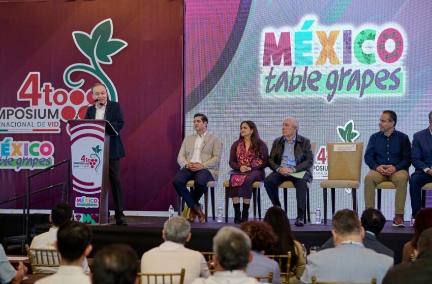  Sonora consolida liderazgo nacional en producción de uva de mesa – Milenio