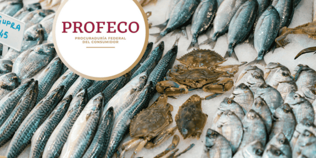  Profeco revela la clave para elegir mariscos frescos y evitar riesgos en Cuaresma