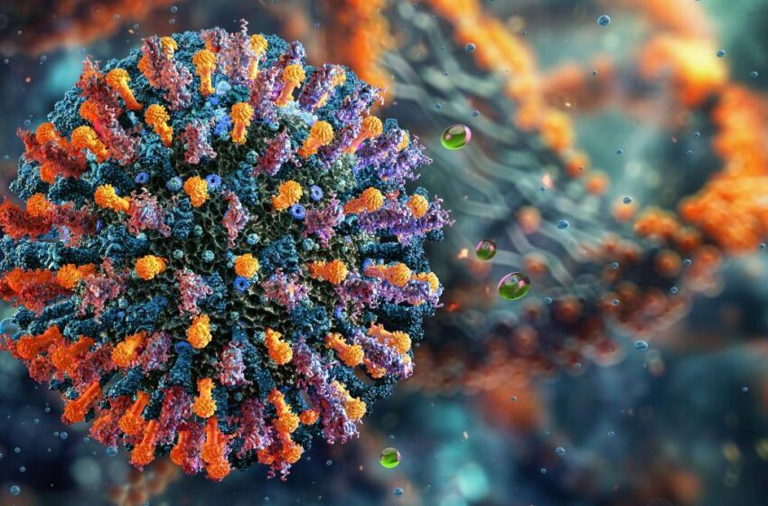  México suma más de 3 mil casos de sarampión en 2026; autoridades llaman a vacunarse