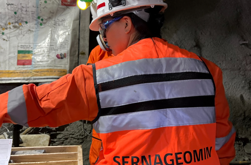  DECLARACIÓN PÚBLICA – Servicio Nacional de Geología y Minería – Sernageomin