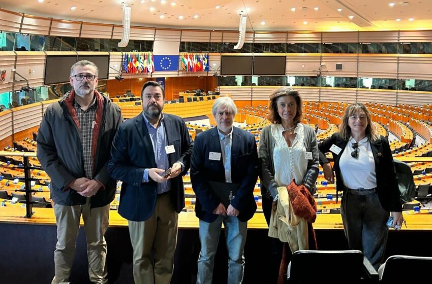  El Parlamento Europeo investigará el megacantón de Montecarmelo – fravm