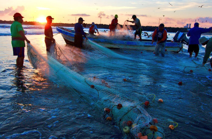  Restricción pesquera de camarón en marzo – Meridiano.mx