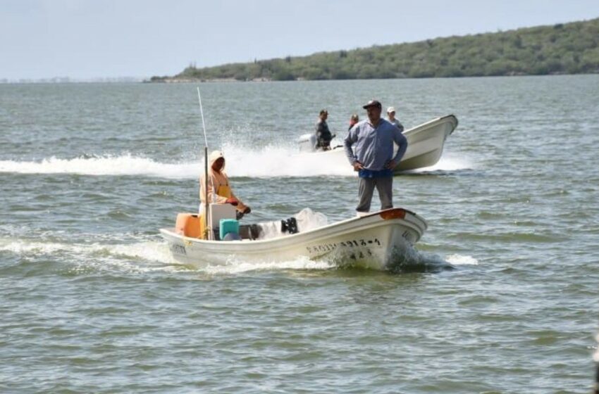  Pesca destinada al exterminio – Campeche HOY