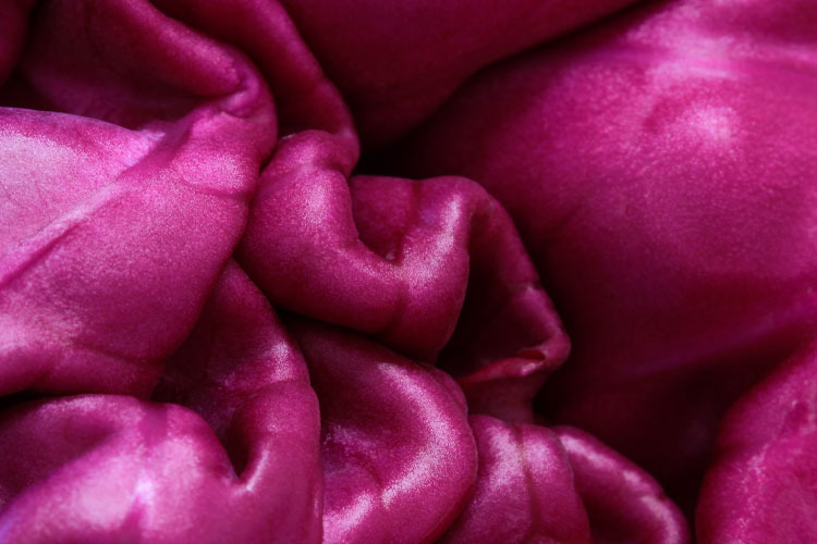  Pigmentos morados y su poder antiinflamatorio – TecScience