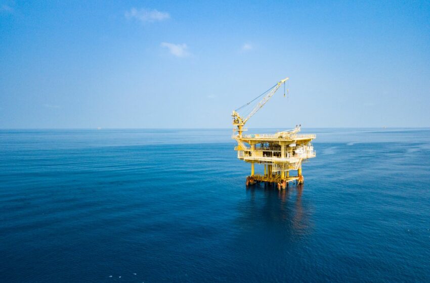  Científicos descubren cientos de especies que serían perjudicadas por minería de aguas …