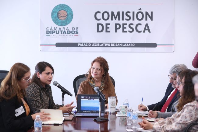  Comisión analiza con secretarías de Estado y organizaciones civiles áreas de oportunidad …