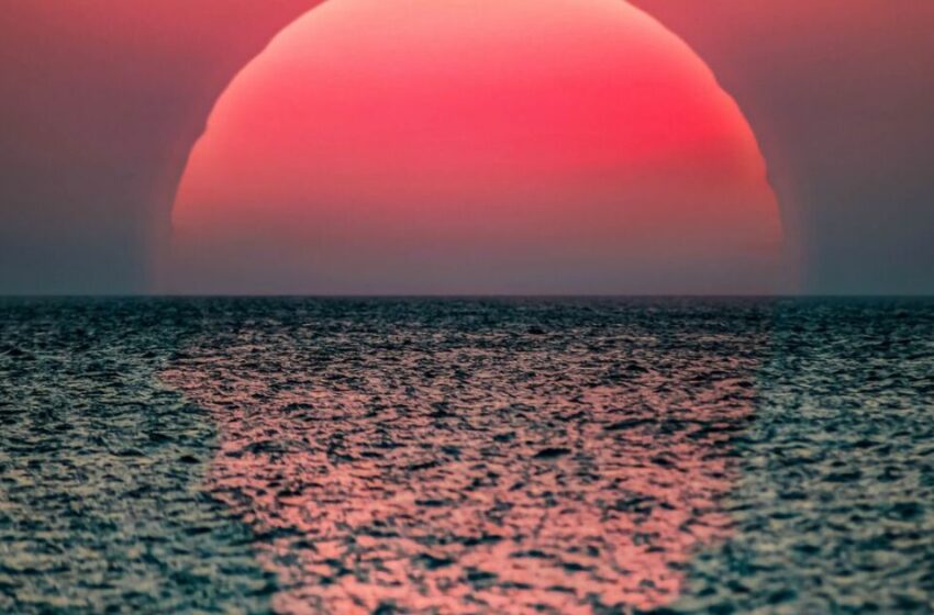  Cambios en el océano ponen en alerta a científicos; afecta la pesca y el turismo – adn 40