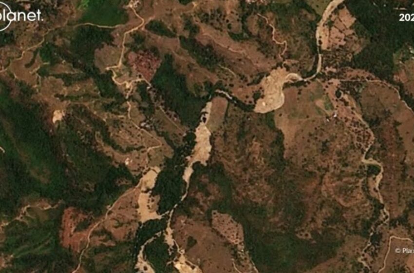  Minería ilegal deja 14 hectáreas de bosque destruidas en el sur del Tolima