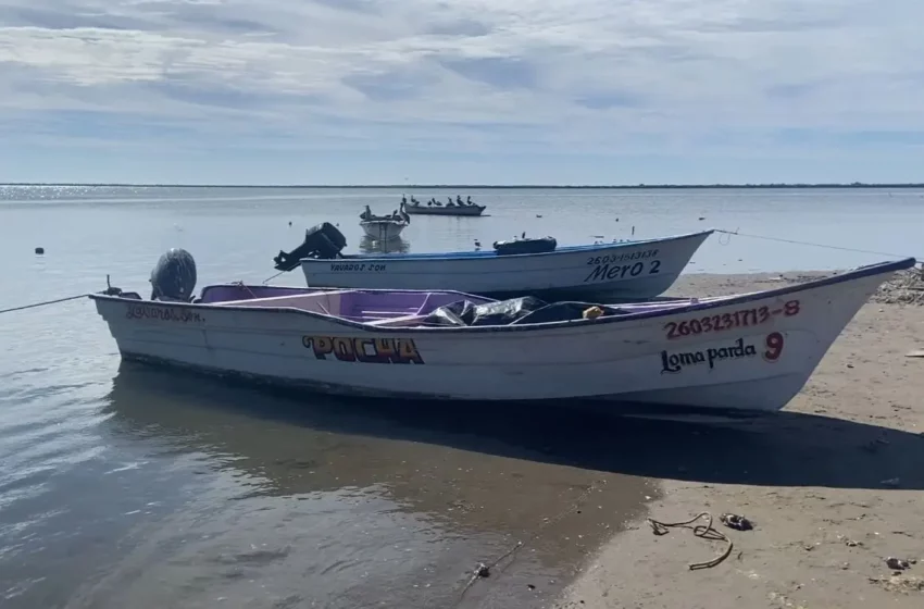  Buzos en Yavaros limitados a jornadas de tres horas – Diario del Yaqui