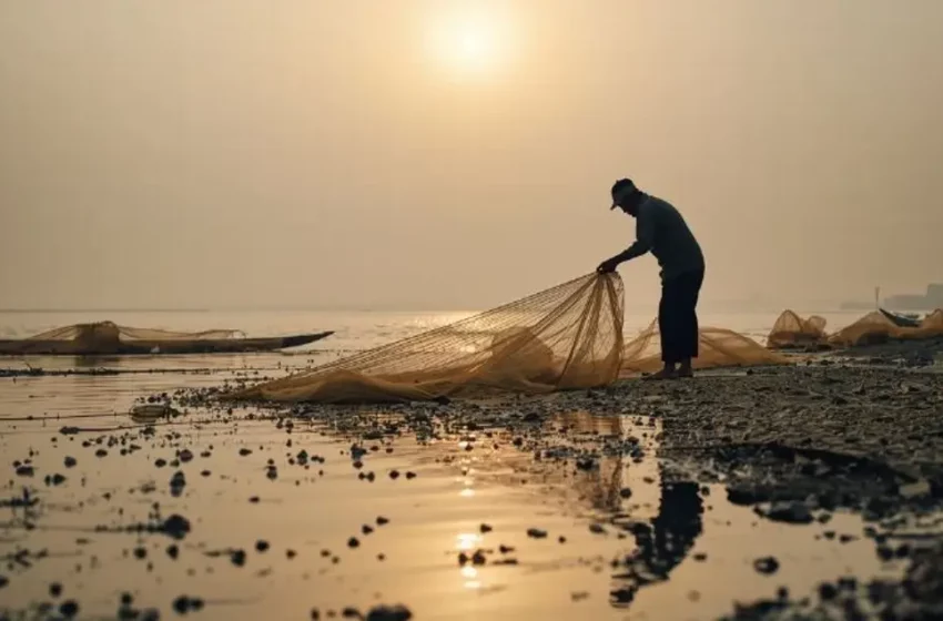  Derrame de hidrocarburo amenaza pesca y arrecifes en Veracruz – XEU