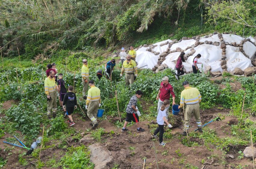  La Unidad de Medio Ambiente impulsa la recuperación de bosques de galería con la …