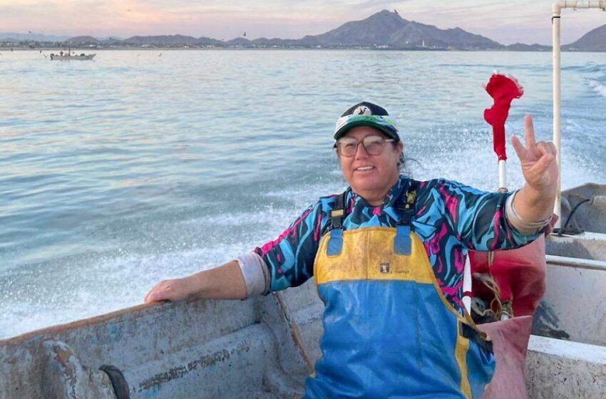  Otorgan prórroga para la veda del camarón – La Voz de la Frontera