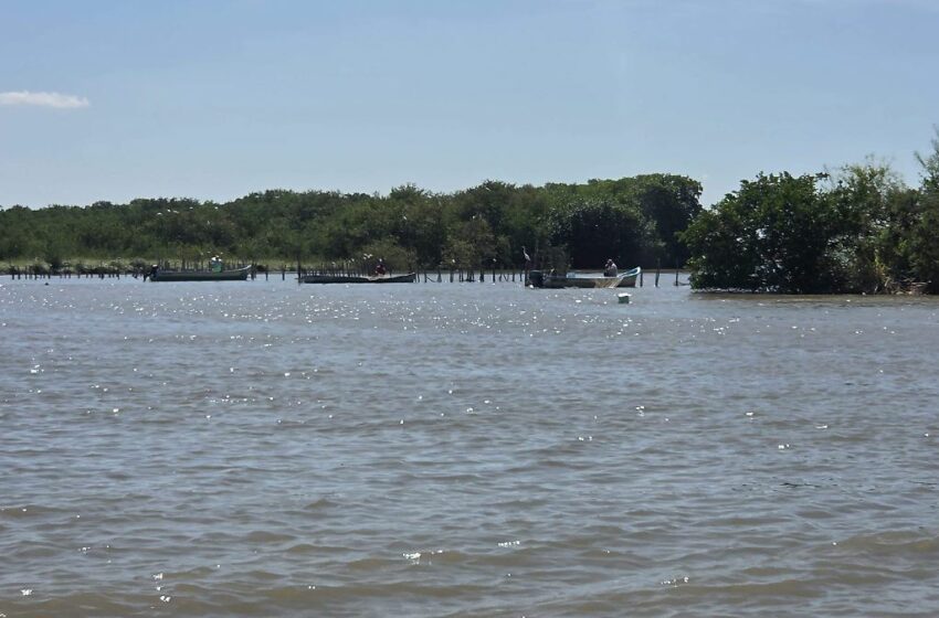  Llevan un año esperando el dragado de la Laguna de Tamiahua: 15 mil pescadores en crisis