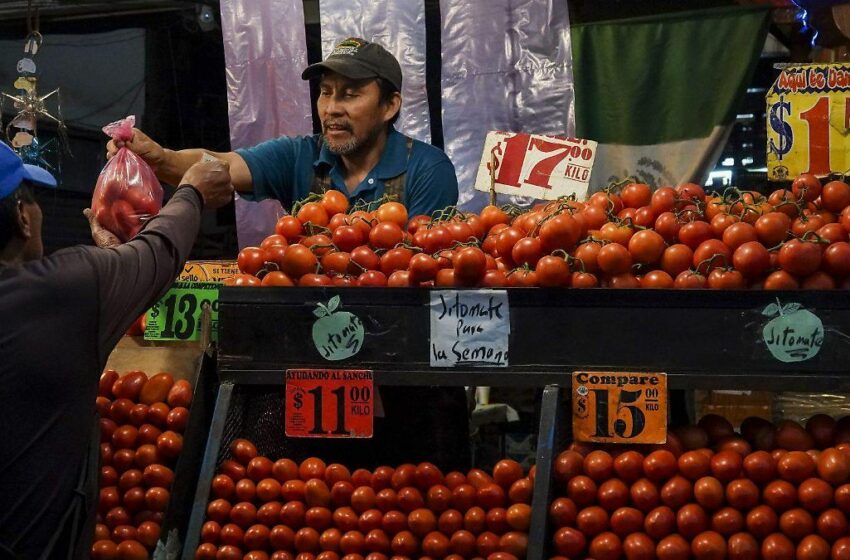  Alimentos, bebidas y cigarros pegan al bolsillo de los mexicanos – El Sol de México