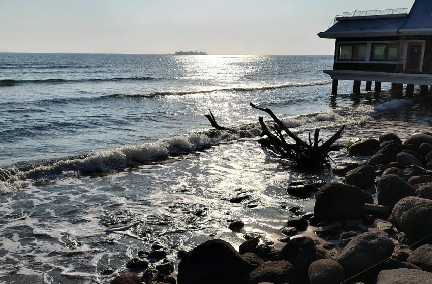 Pescadores en alerta por derrame de petróleo, en la zona conurbada Veracruz-Boca del Río