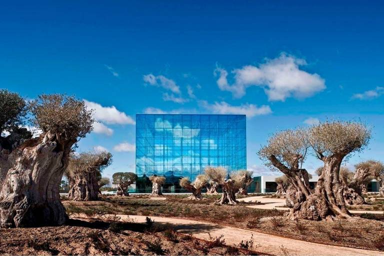  Santander y Visa completan en Latinoamérica los primeros pagos gestionados íntegramente por agentes de IA