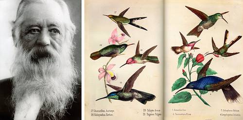  Publicación invita a andar por El jardín de Velasco