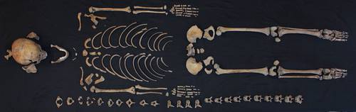  Hallan en Tlatelolco restos de una joven mujer divinizada por haber muerto en el parto