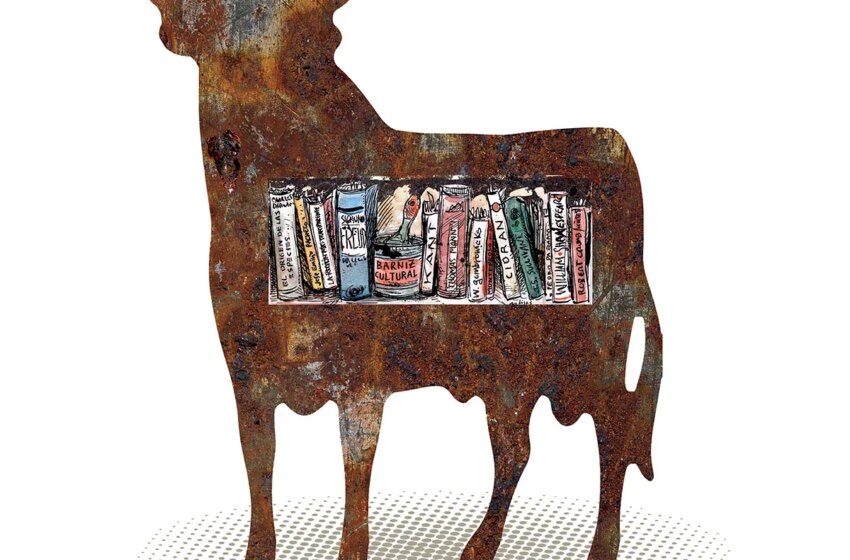  ¿Podremos tener en España una universidad en el top 100? | Opinión – El Mundo