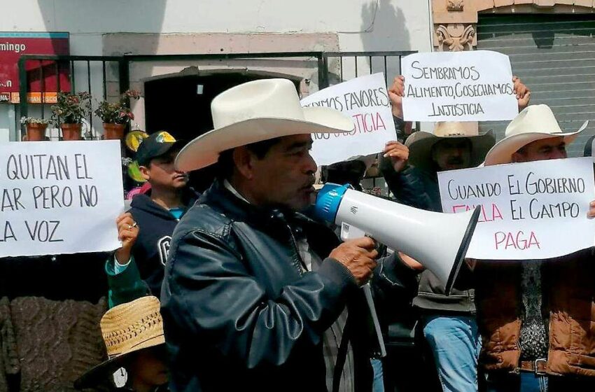  Productores se resisten a desalojar Plaza de Armas – El Sol de Zacatecas