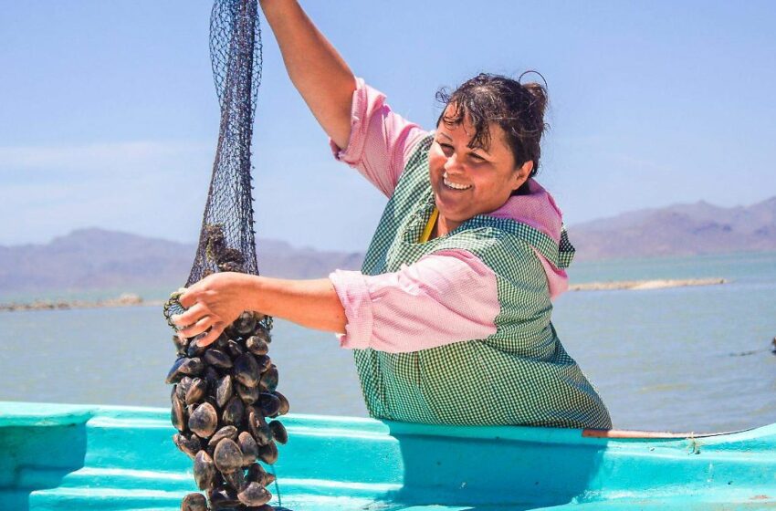  Invitan a Premio a la Pesca y Acuacultura Sustentable 2026 – La Voz de la Frontera