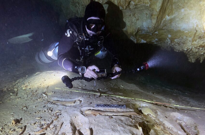  Hallan esqueleto de hace más de 8,000 años en cenotes del Caribe mexicano – ABC7