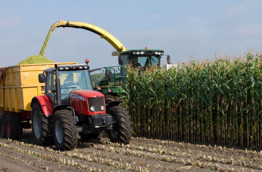  UE-Mercosur y la agricultura europea: temores legítimos y garantías reales