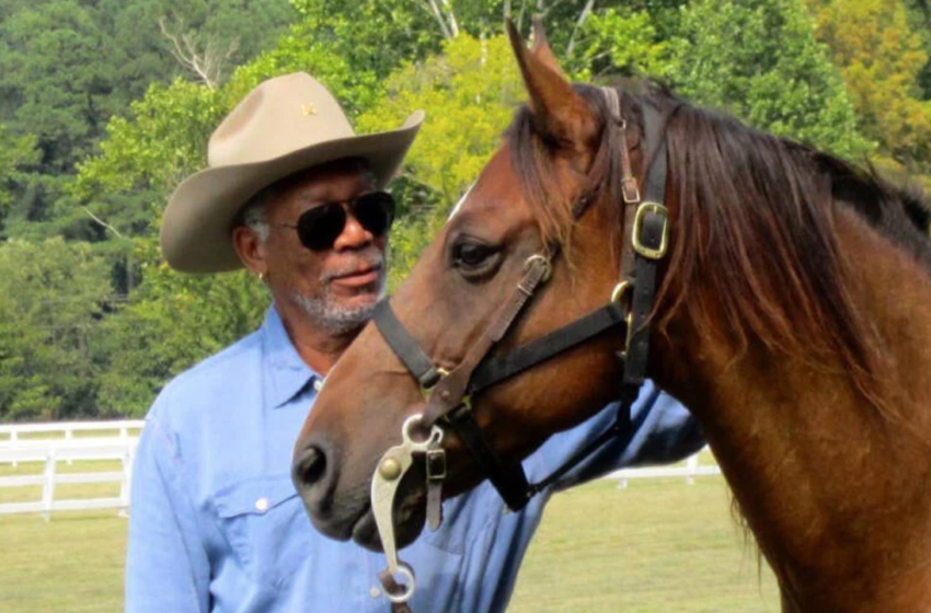  Morgan Freeman tenía 50 hectáreas de terreno y decidió emplearlas para salvar el medio ambiente