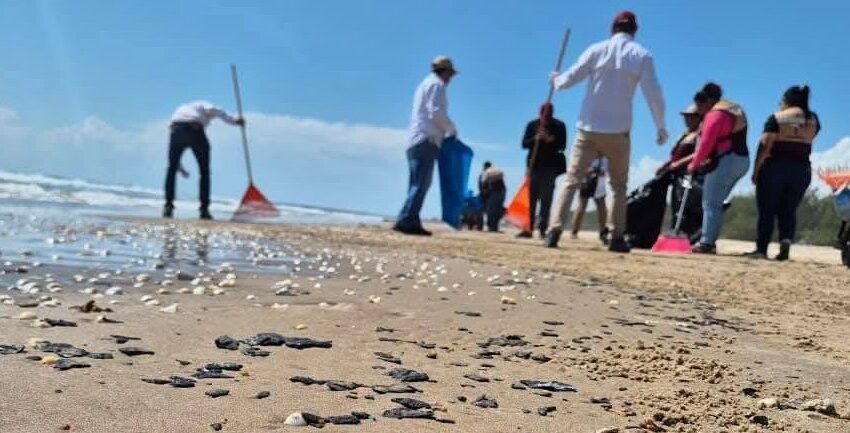  Refuerzan limpieza en Playa La Pesca y Tepehuajes por presencia de residuos