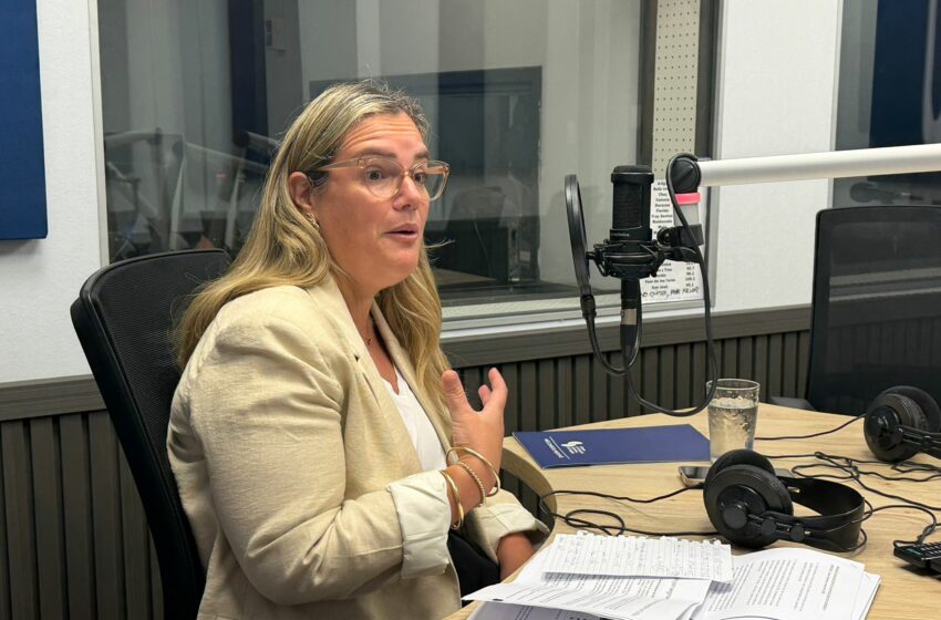  “Sector comercio y servicios cerró el año con un crecimiento magro”, según la economista