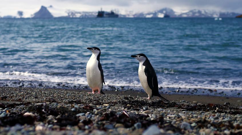  La lista de decretos ambientales que fueron retirados por el gobierno – T13
