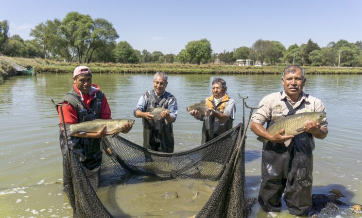  Bienpesca: Renovación de tarjetas para derechohabientes, del 9 al 22 de marzo en todo el país
