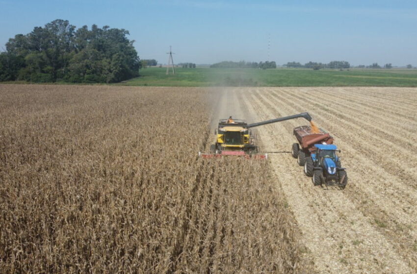  La economía creció 4,4% en 2025, impulsada por la minería, las finanzas y el campo