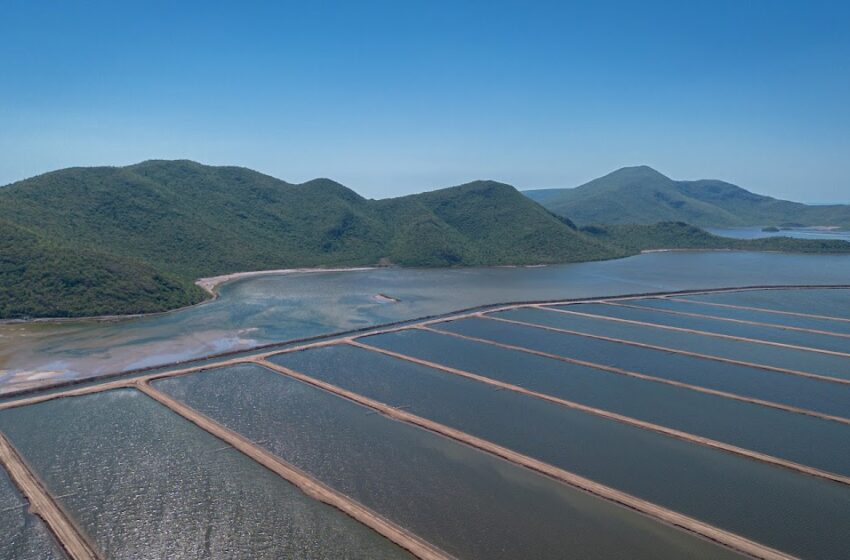  Gobierno de Sinaloa establece nuevos formatos para regular siembras y cosechas acuícolas