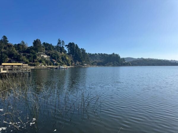  Medio Ambiente busca recuperar Lago Vichuquén: Ministra Toledo inicia proceso para …