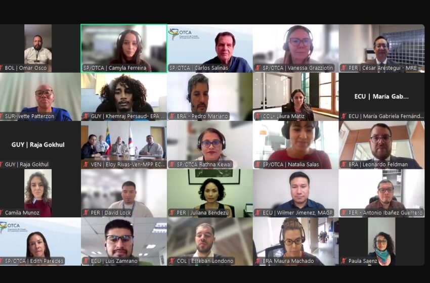  Países amazónicos reactivan la Comisión de Medio Ambiente y Cambio Climático de la OTCA