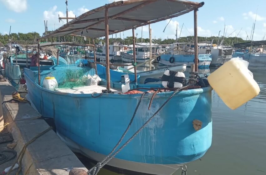  Respaldan operativos "contra lo ilegal" en barcos pesqueros en Progreso – Diario de Yucatán