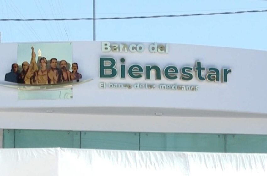  Pagos de Pensiones del Bienestar en Sonora: ¿Cuándo y Cómo Depositan en Marzo 2026 … – N+