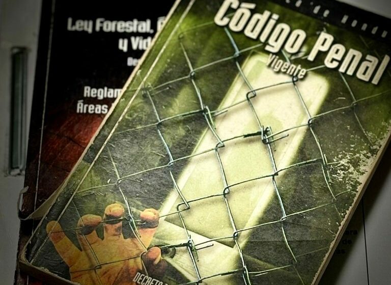  Fiscalía del Medio Ambiente obtiene sentencia condenatoria por explotación ilegal de …