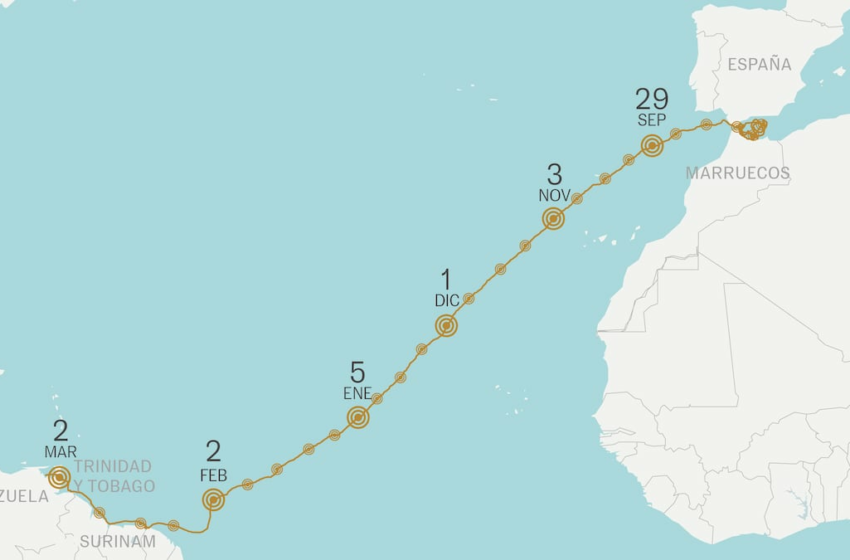  El viaje de 6.400 kilómetros de 'Diana', la tortuga boba rescatada en Ceuta que cruzó el Atlántico